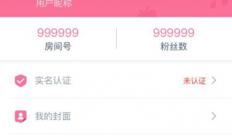 下载bilibili视频,下载与观看的完美融合